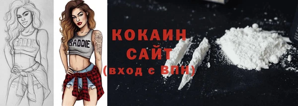 мдпв Лагань