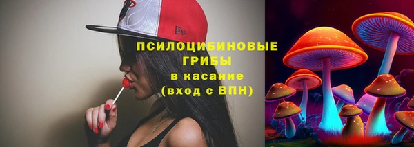 мдпв Лагань