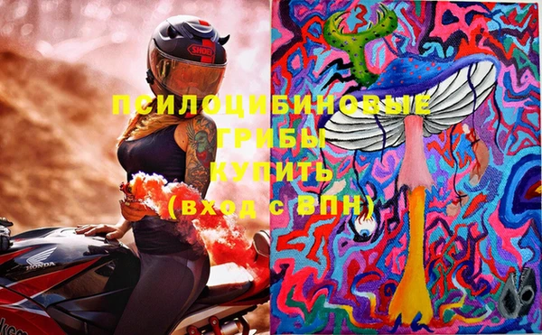 мдпв Лагань