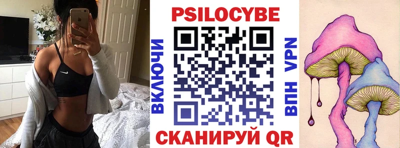 блэк спрут как зайти  Туран  Галлюциногенные грибы ЛСД 